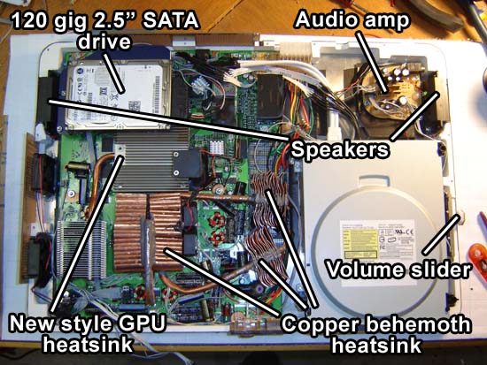 Overview of the guts